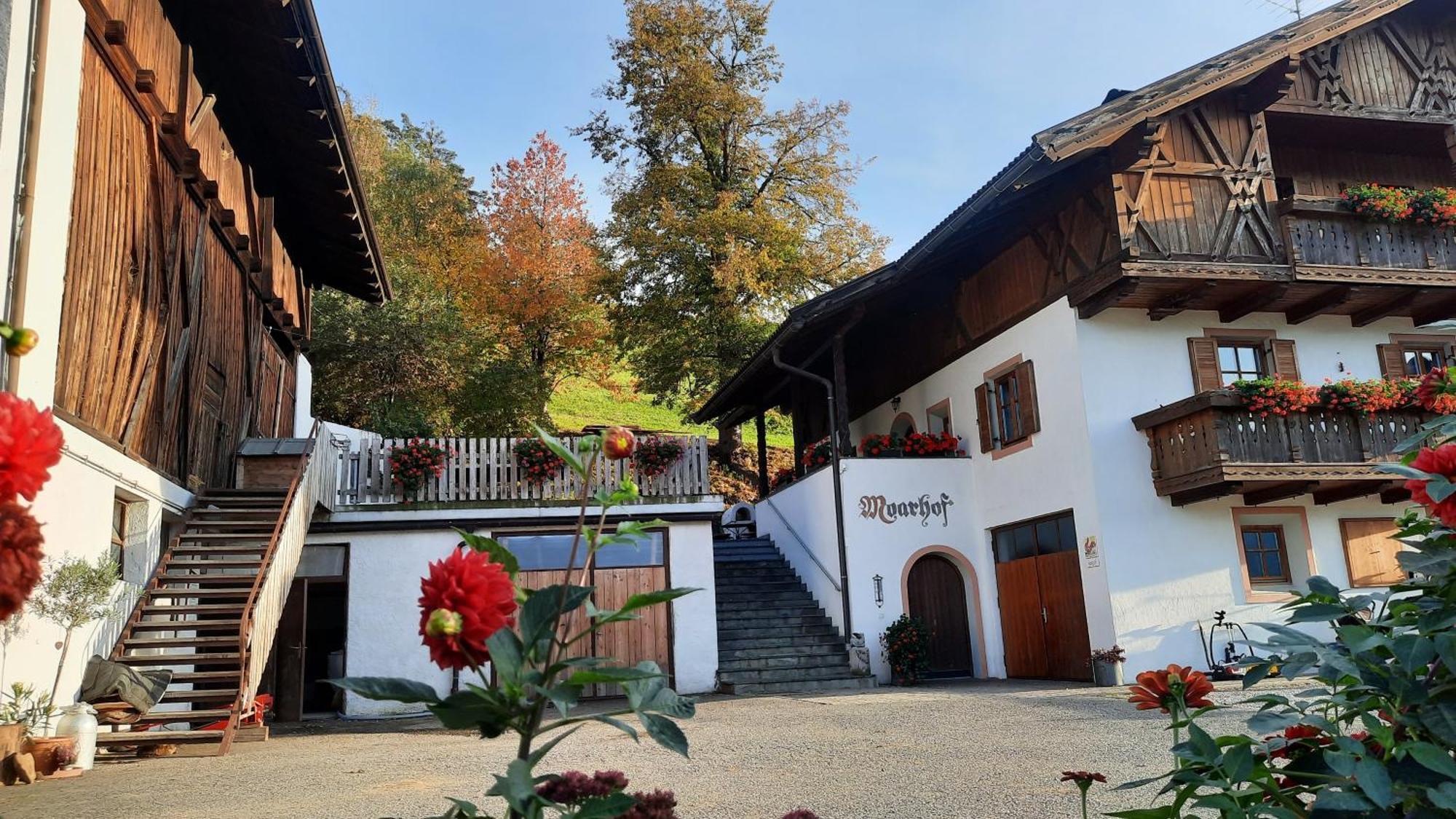 Moarhof Gufidaun Apartment Chiusa Exterior photo